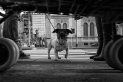 001_2015-Milano-Eolo-Perfido-Street-Photography-048