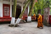 China_McCurry_Vacheron_2