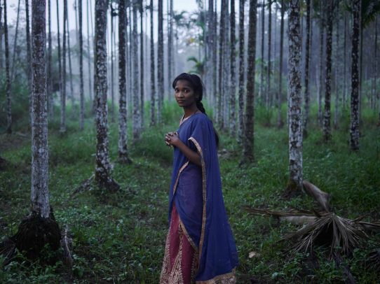 indian girl in the forest at dusk