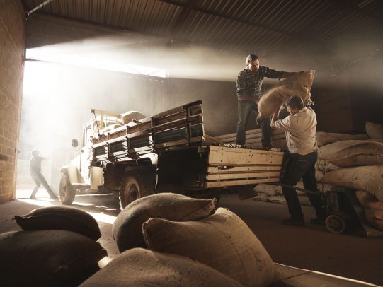 two men loading bags on a pickup for Lavazza Calendar 2016 by Joey L