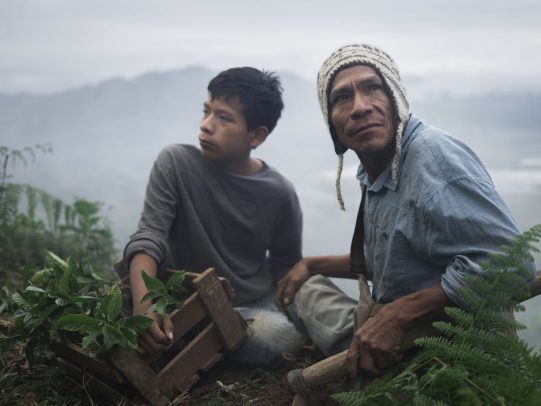 father and son working together in a coffee plantation for Lavazza Calendar 2016 by Joey L