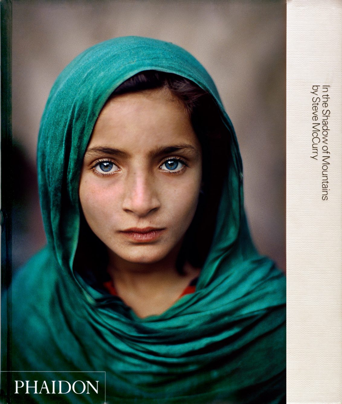 In The Shadow of Mountains McCurry Book