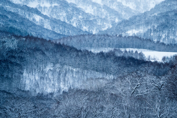 snow landscape by michael yamashita