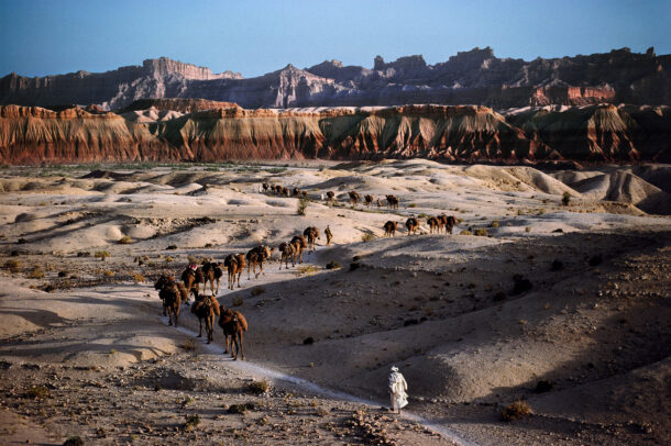 Camel caravan in Afghanistan