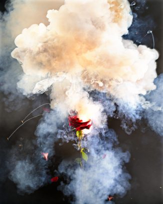 a red rose with smoke