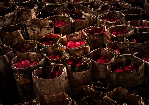 bags mad of full of petals of roses