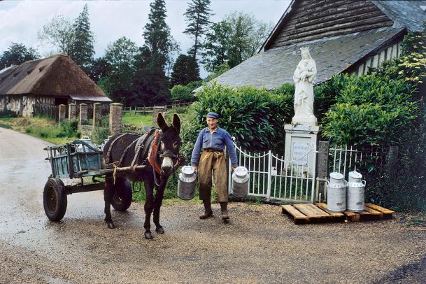 man holding two big cans for milk next to his cart pulled by a donkey and a statue of Mary