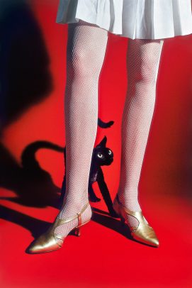 black little cat hiding himself behind the leg of a model on a red background