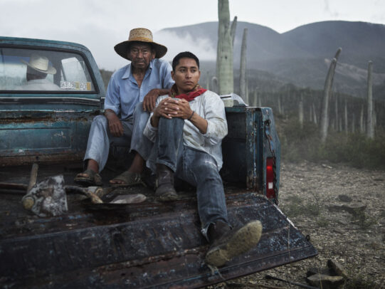two men sitting on the rear of a pick up in a plantation for Lavazza Calendar 2016 by Joey L