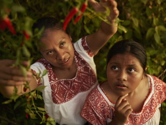 a woman picking chili peppers and another watching for Lavazza Calendar 2016 by Joey L