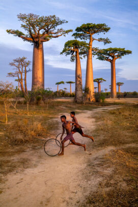 two boys playing in front of the Baobab Avenue, Morondava, Madagascar