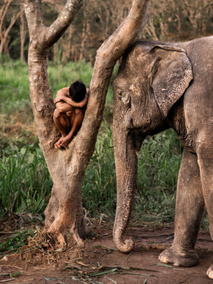 Mahout and His Elephant at a Sanctuary