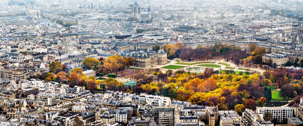 Paris Cityscape with park and Notre Dame