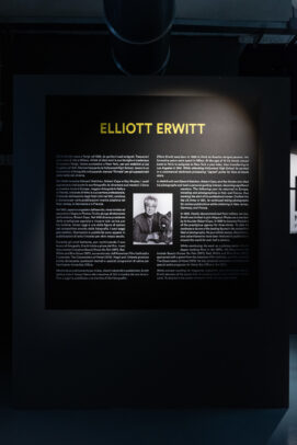 Elliott Erwitt Exhibition Family MUDEC installation
