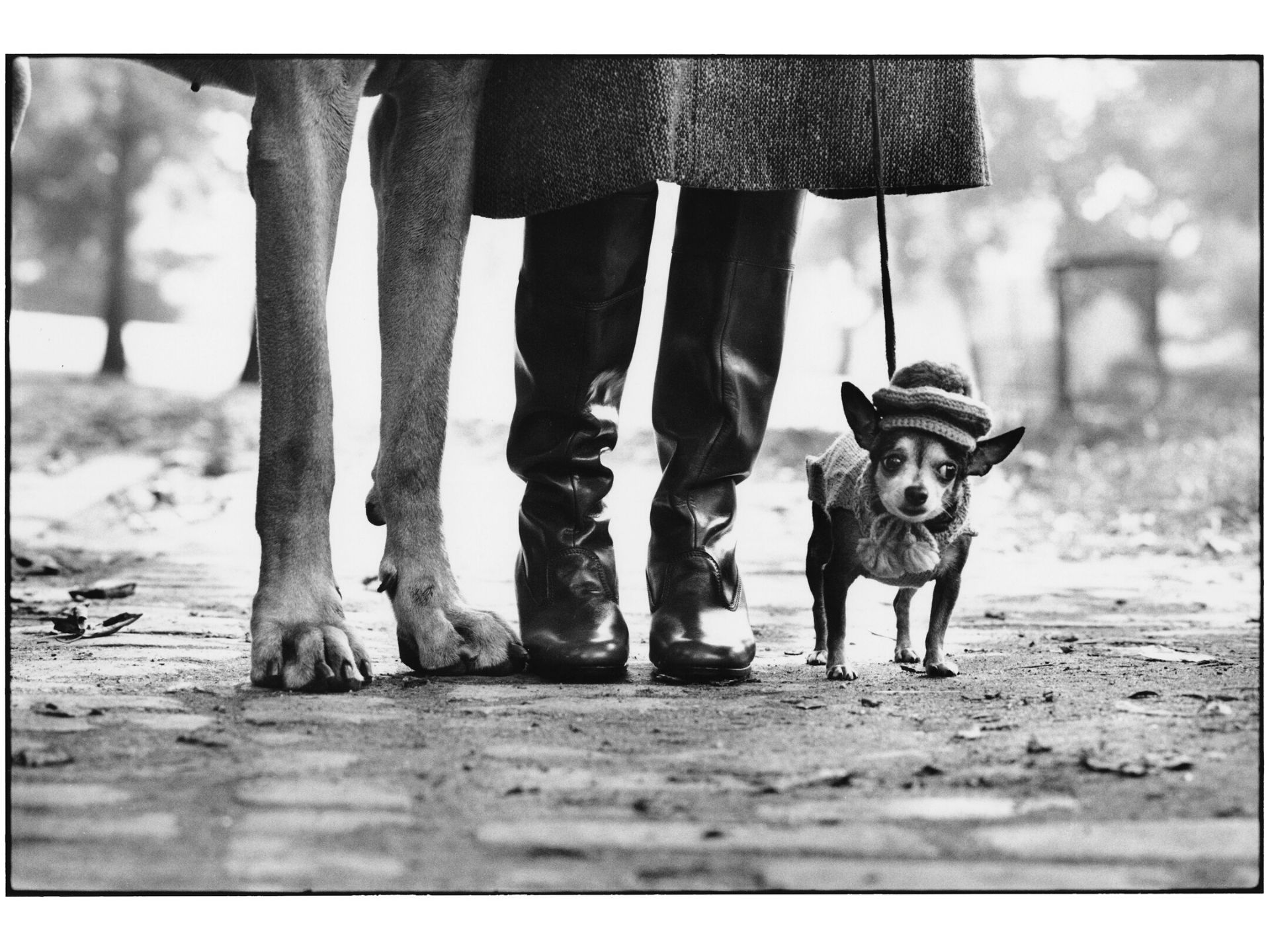 Erwitt-Felix-Gladys-and-rover-Cover-Sito