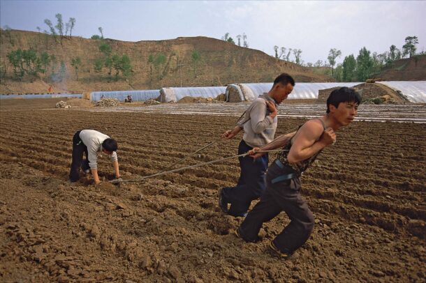 chinese men plowing a field