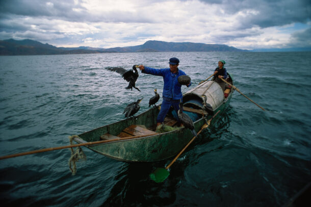 Cormorant fishermen on Erhai Lake