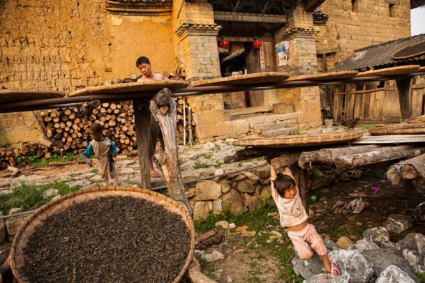 tea leaves in baskets drying outside of an old factory while a children plays