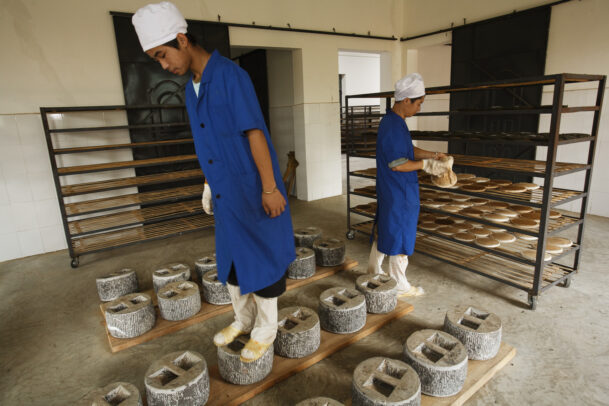 Workers at a tea factory in Yiwu