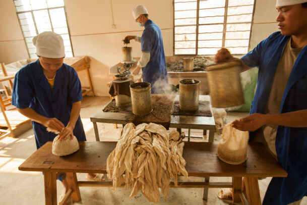 men working for puher tea