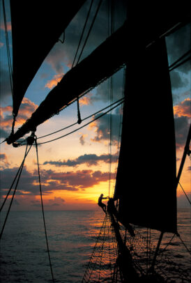 Sanjeeda, one of the last great sailing dhows, sails into the sunset off the Swahili coast.