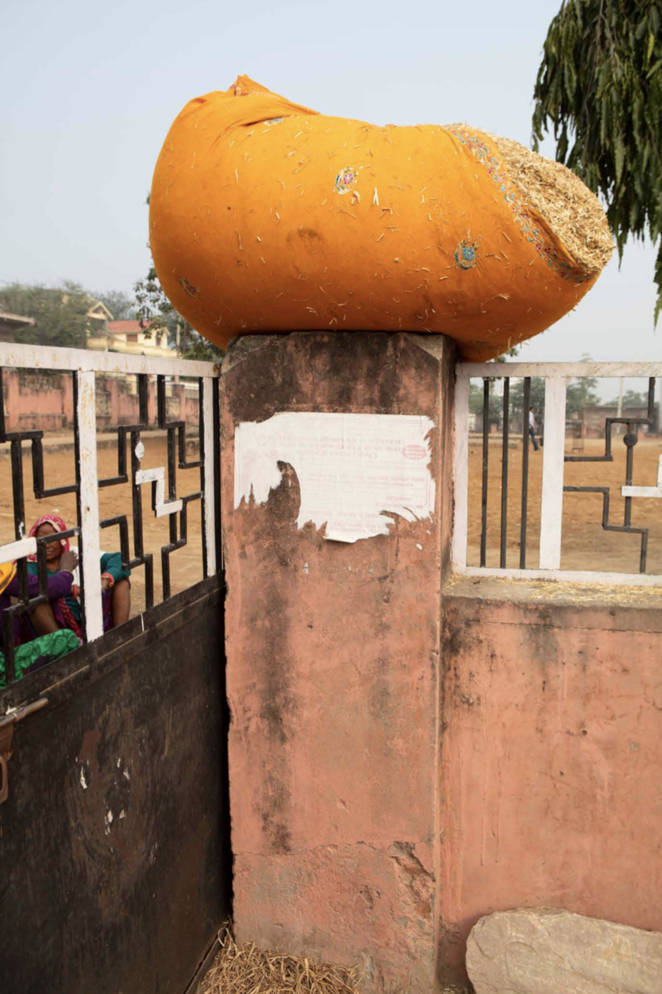 balla di fieno su un cancello in India